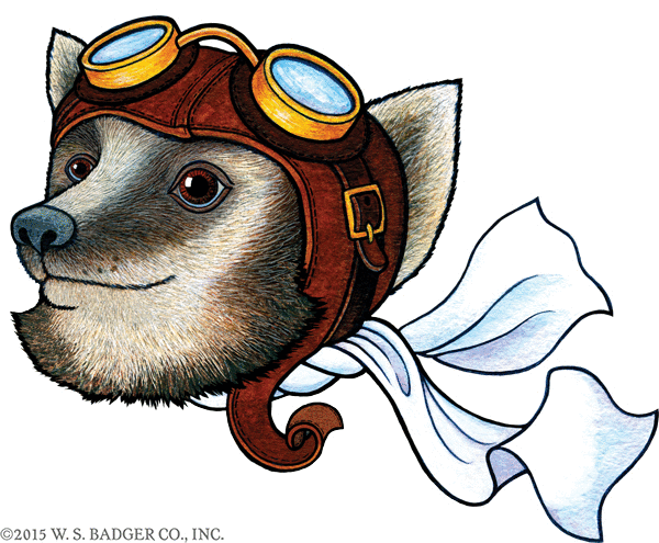 Navigator Class Badger Beard