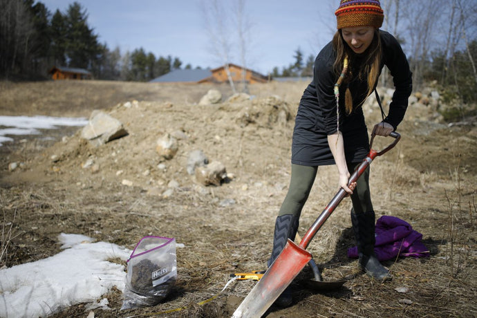 Heal the World: An Earth Day Story
