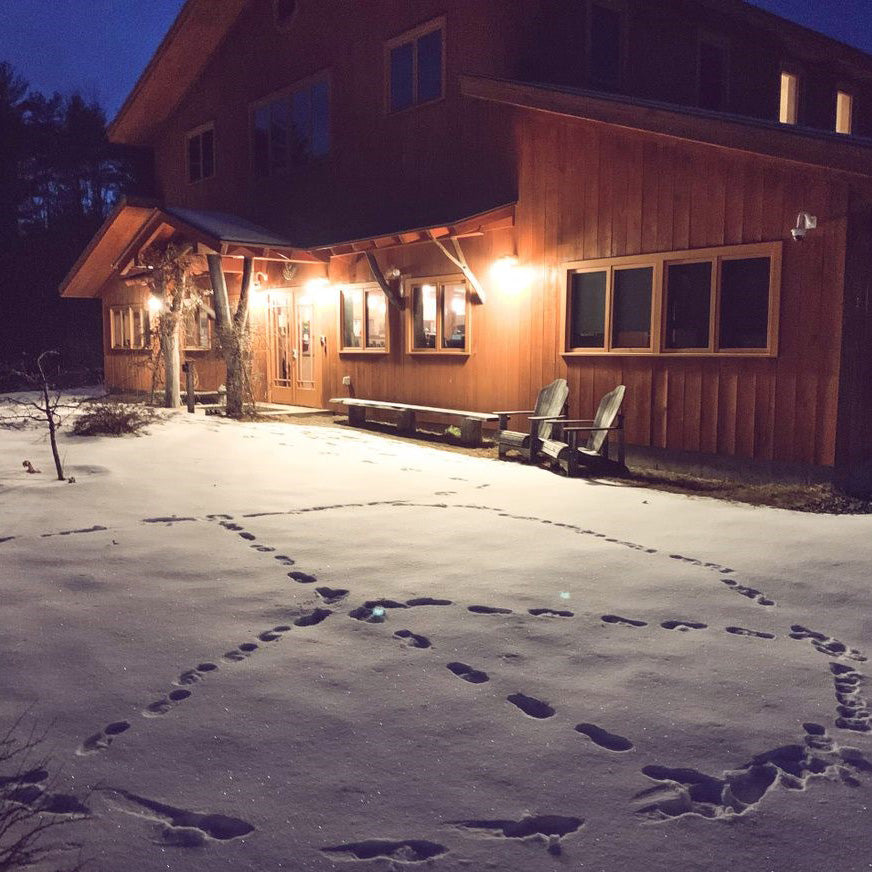 badger snowy building