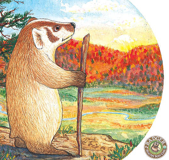 eco-confessions looking ahead