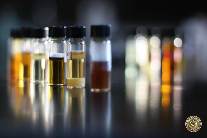 How Does Aromatherapy Work