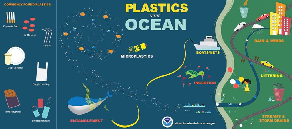 How plastic packaging gets into the ocean.