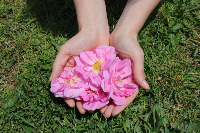 On True Rose and Self Care