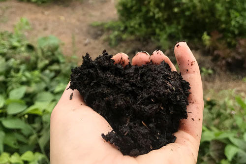 organic from the ground up