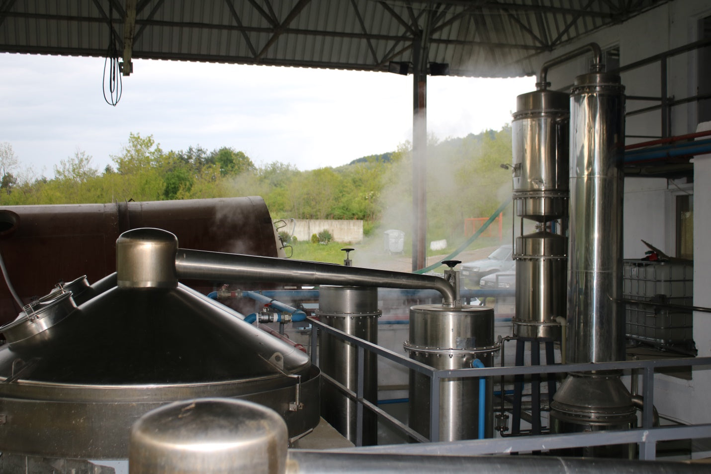 Steam distillation of fresh, organic rose petals.