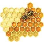 beeswax illustration